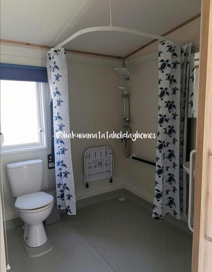 Hakuna Matata Holiday Home New Quay Εξωτερικό φωτογραφία