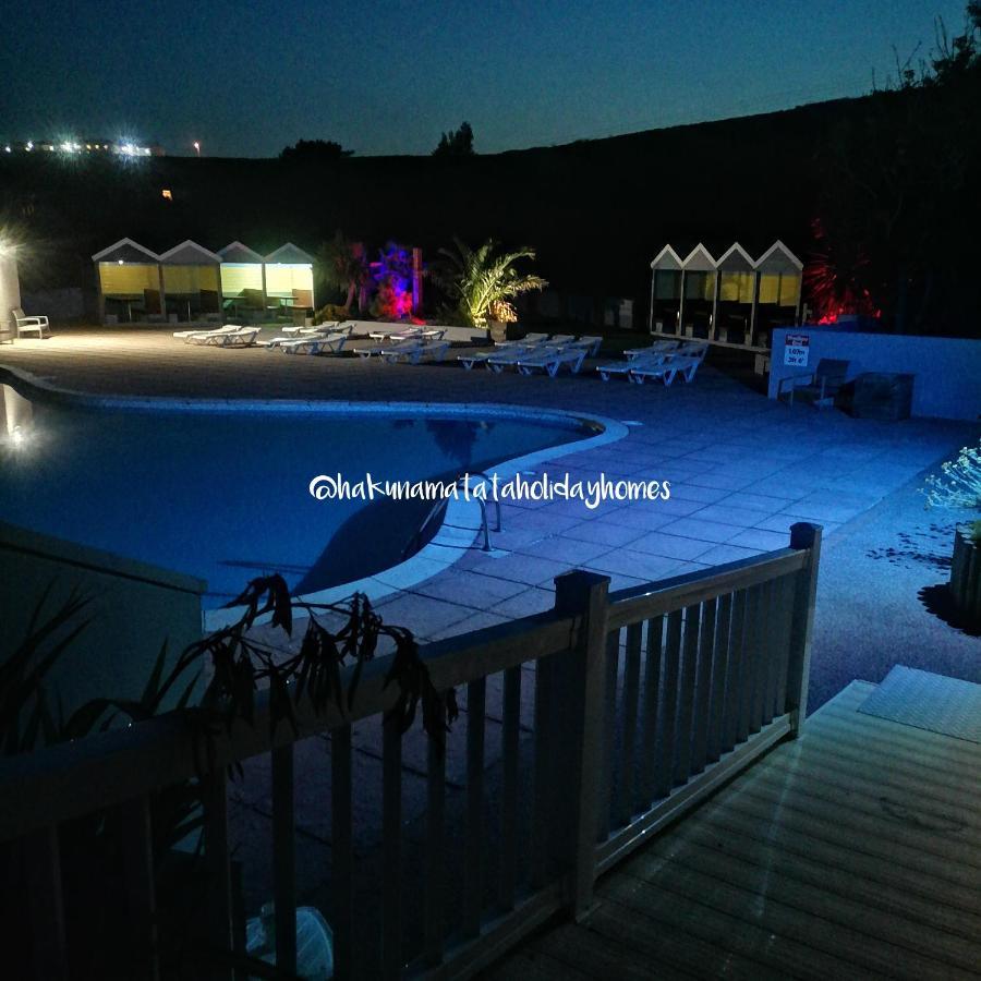 Hakuna Matata Holiday Home New Quay Εξωτερικό φωτογραφία