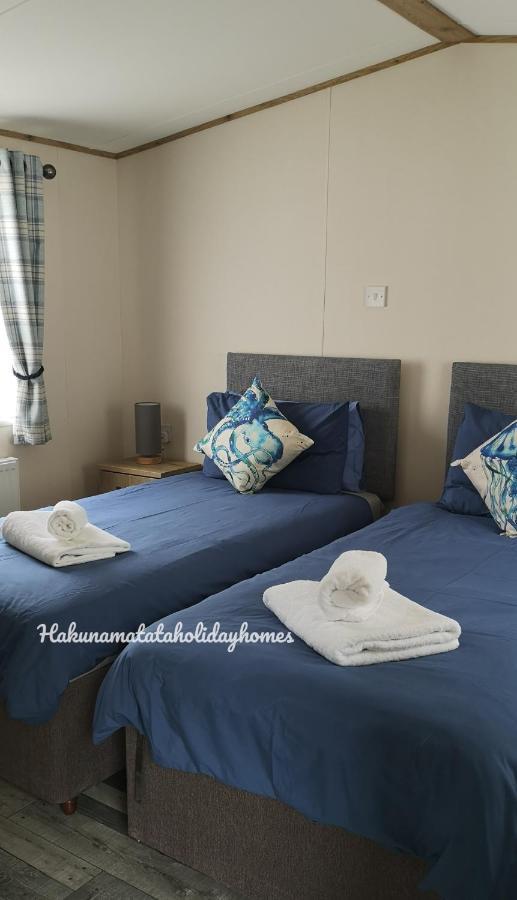 Hakuna Matata Holiday Home New Quay Εξωτερικό φωτογραφία
